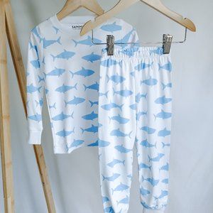 NWR Boys Shark Pajama Set